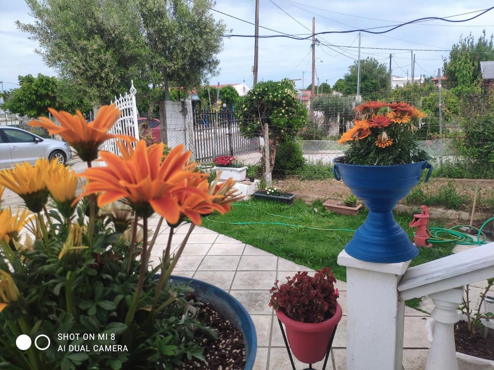 Spring, Day, Garden, Garden view