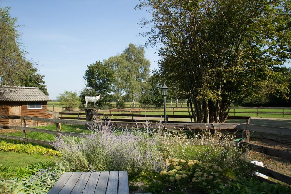 Garden, Balcony/Terrace, Garden view