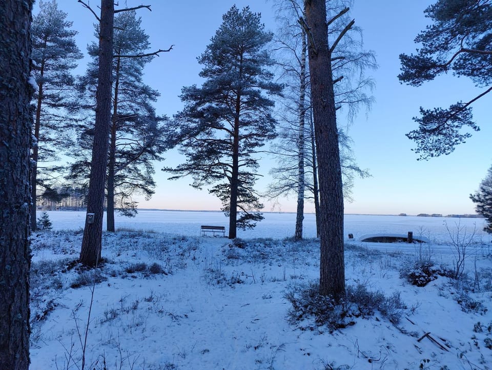 Koivuniemen Tila 3 Villa in Finland