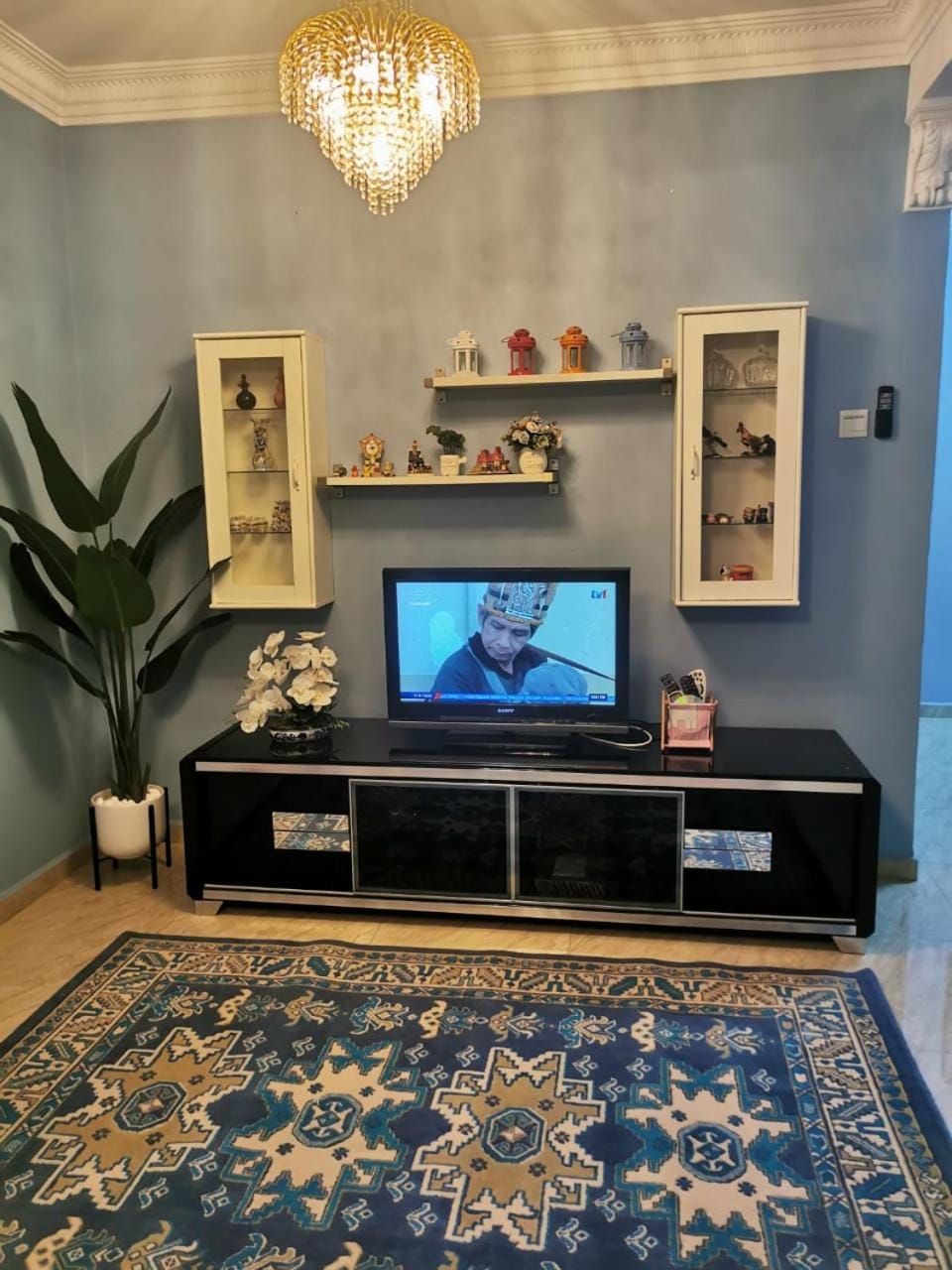 TV and multimedia