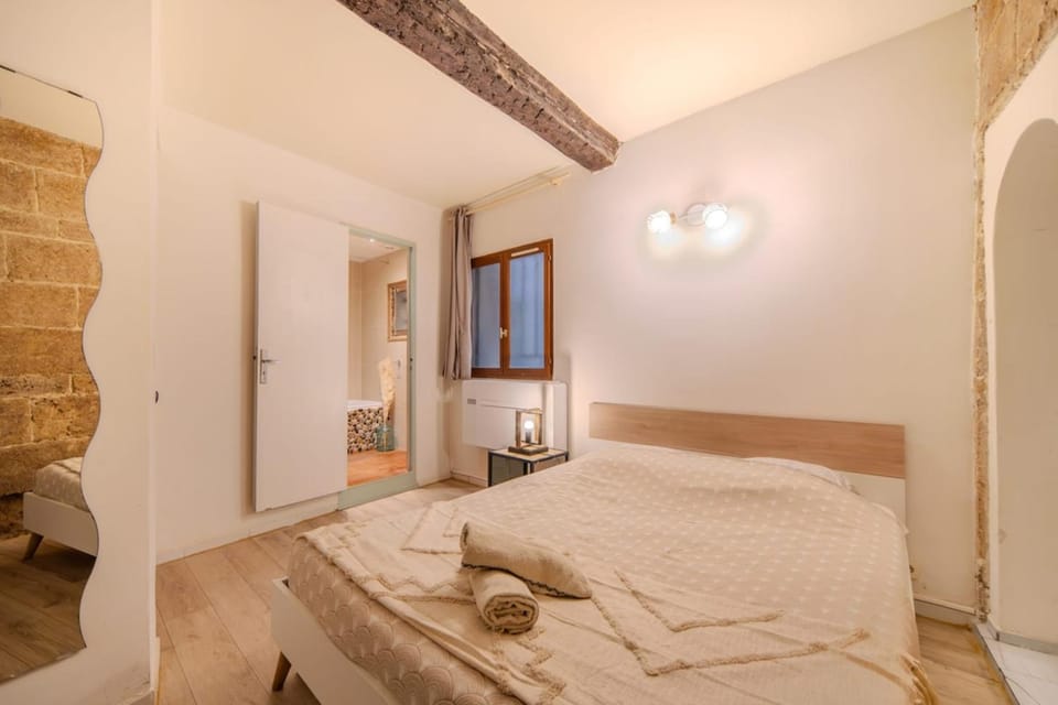 The Ecucentre with Parking - Historic District Apartment in Montpellier
