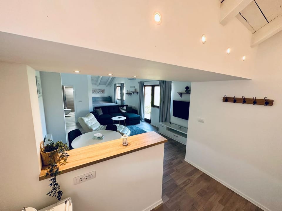 Vila Milincic Loft Milincic Apartment in Bosnia and Herzegovina