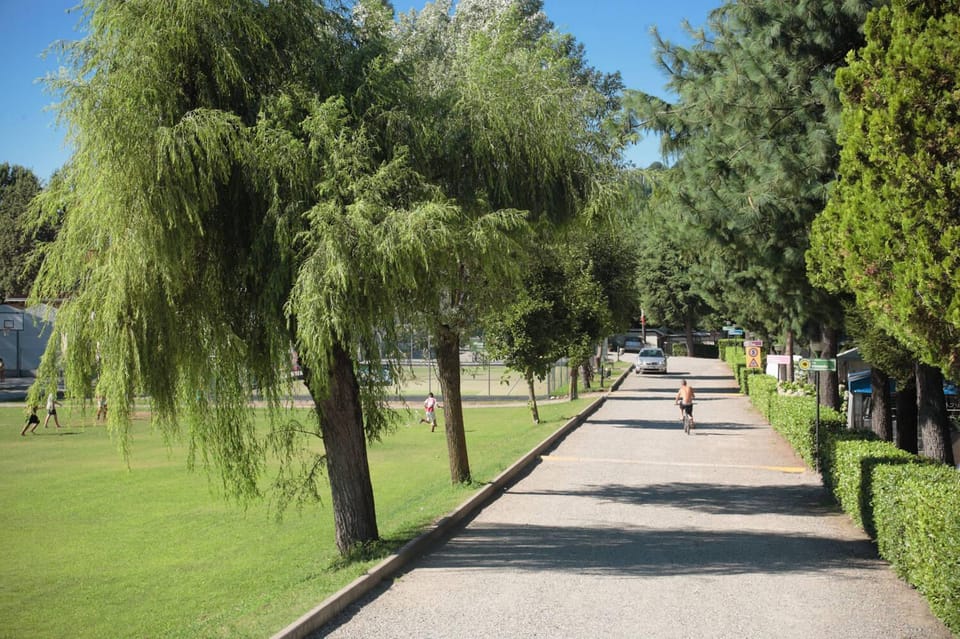 Natural landscape, Garden view, Inner courtyard view