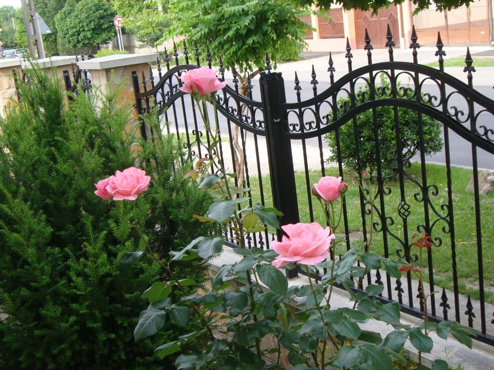 Garden, Street view