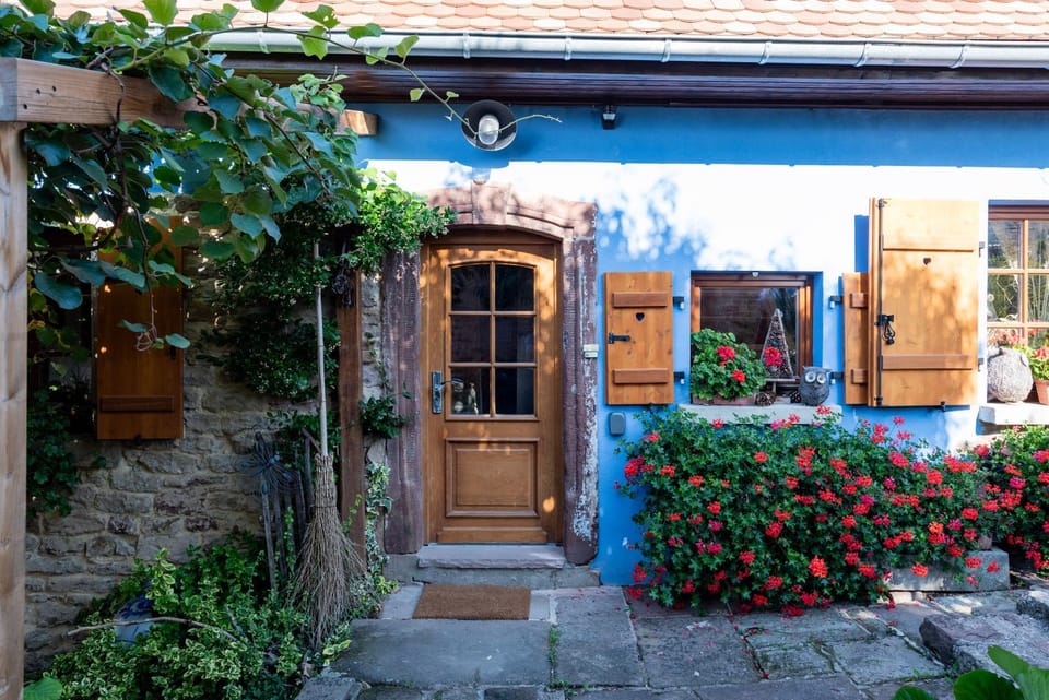 Property building, Day, Garden