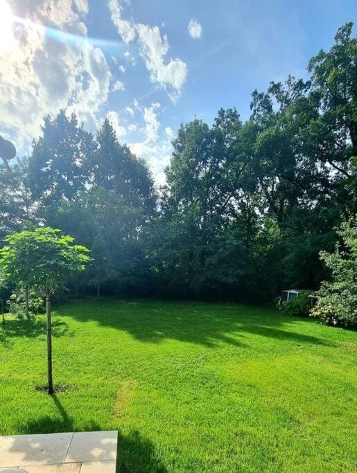 Haus am Waldrand und in Seenähe House in Brandenburg