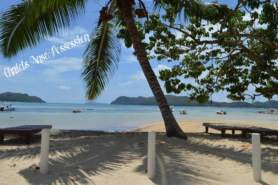 Beach, On site