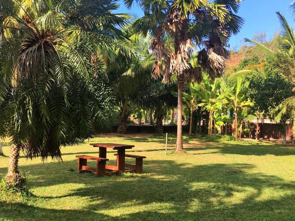 Garden, On site, Garden view, Garden view