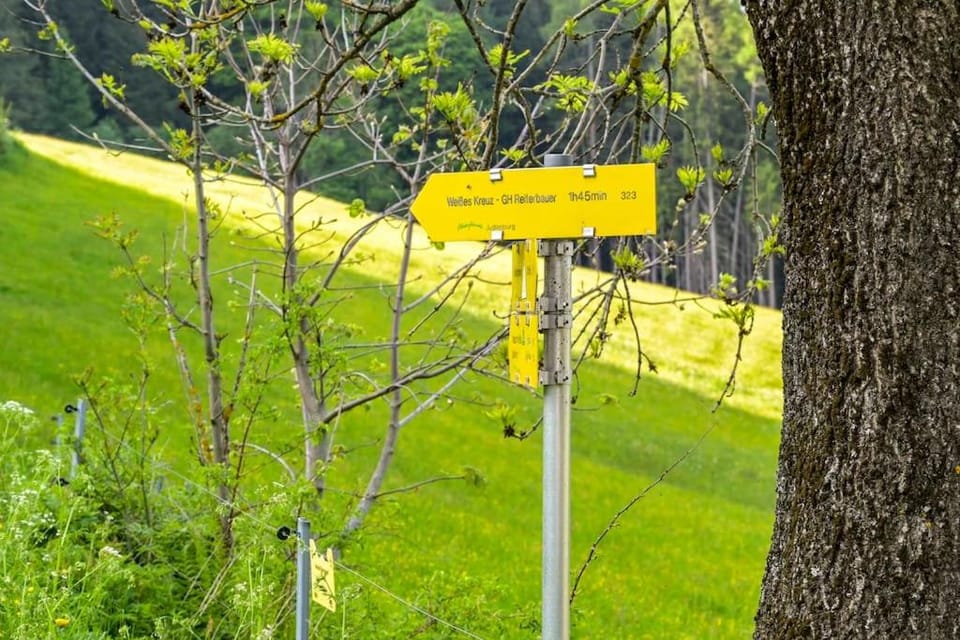 Natural landscape