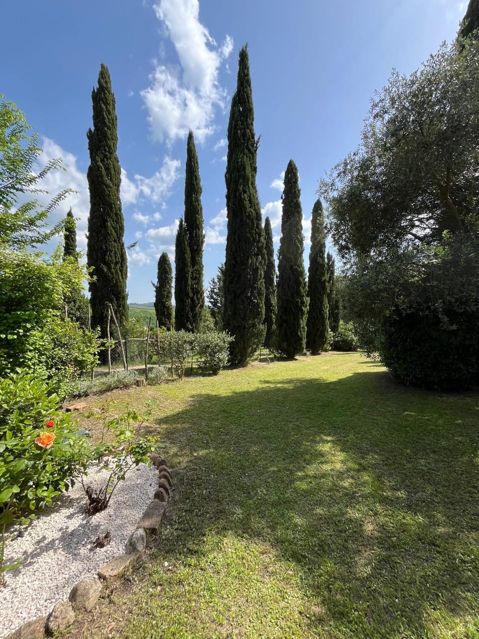 Day, Natural landscape, Garden, Garden view