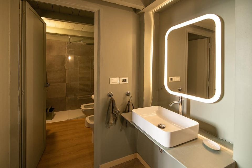 Shower, Toilet, Bathroom, bidet