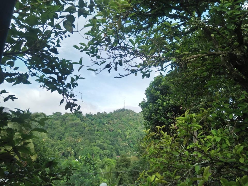 Natural landscape