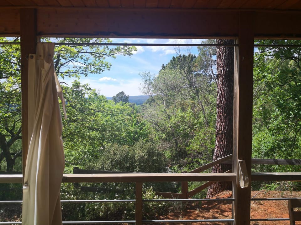 Spring, Natural landscape, Balcony/Terrace, Mountain view