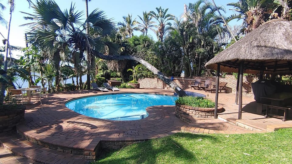 Garden view, Pool view, Swimming pool, sunbed
