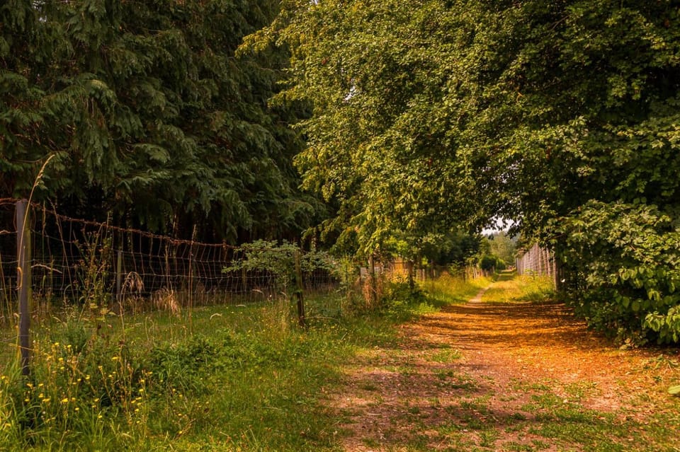 Spring, Off site, Day, Natural landscape