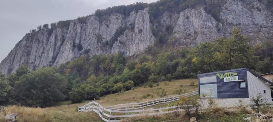 Cabana Exclusivista Wild Spa Apuseni House in Romania