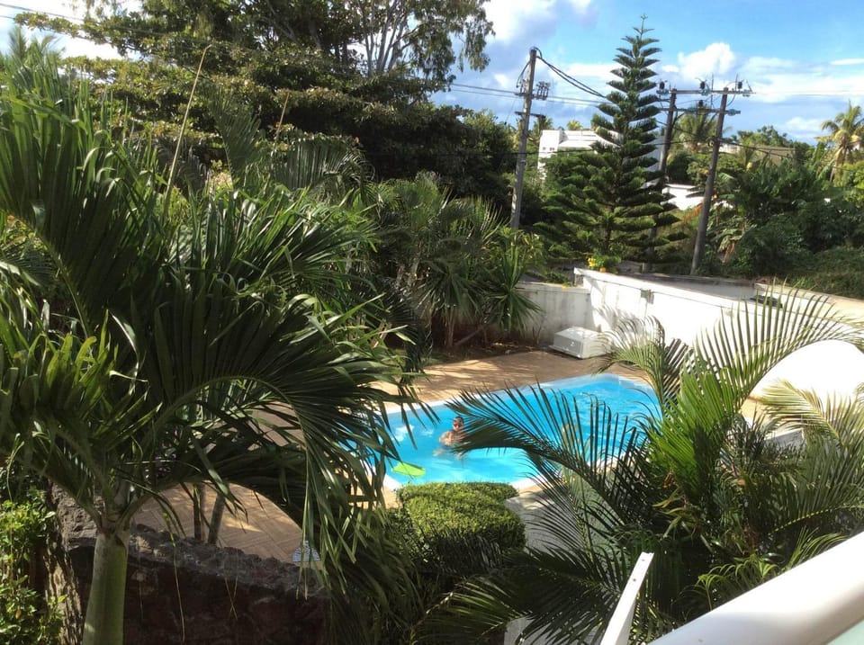 Spring, Day, Natural landscape, Garden, Garden view, Pool view, Swimming pool