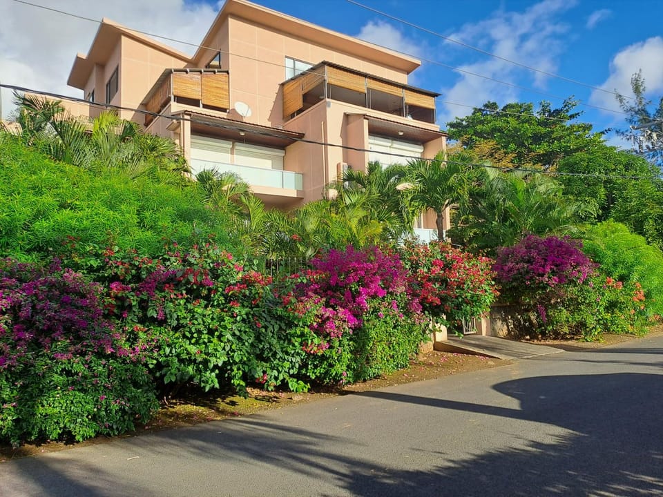 Property building, Spring, Day, Garden, Garden view