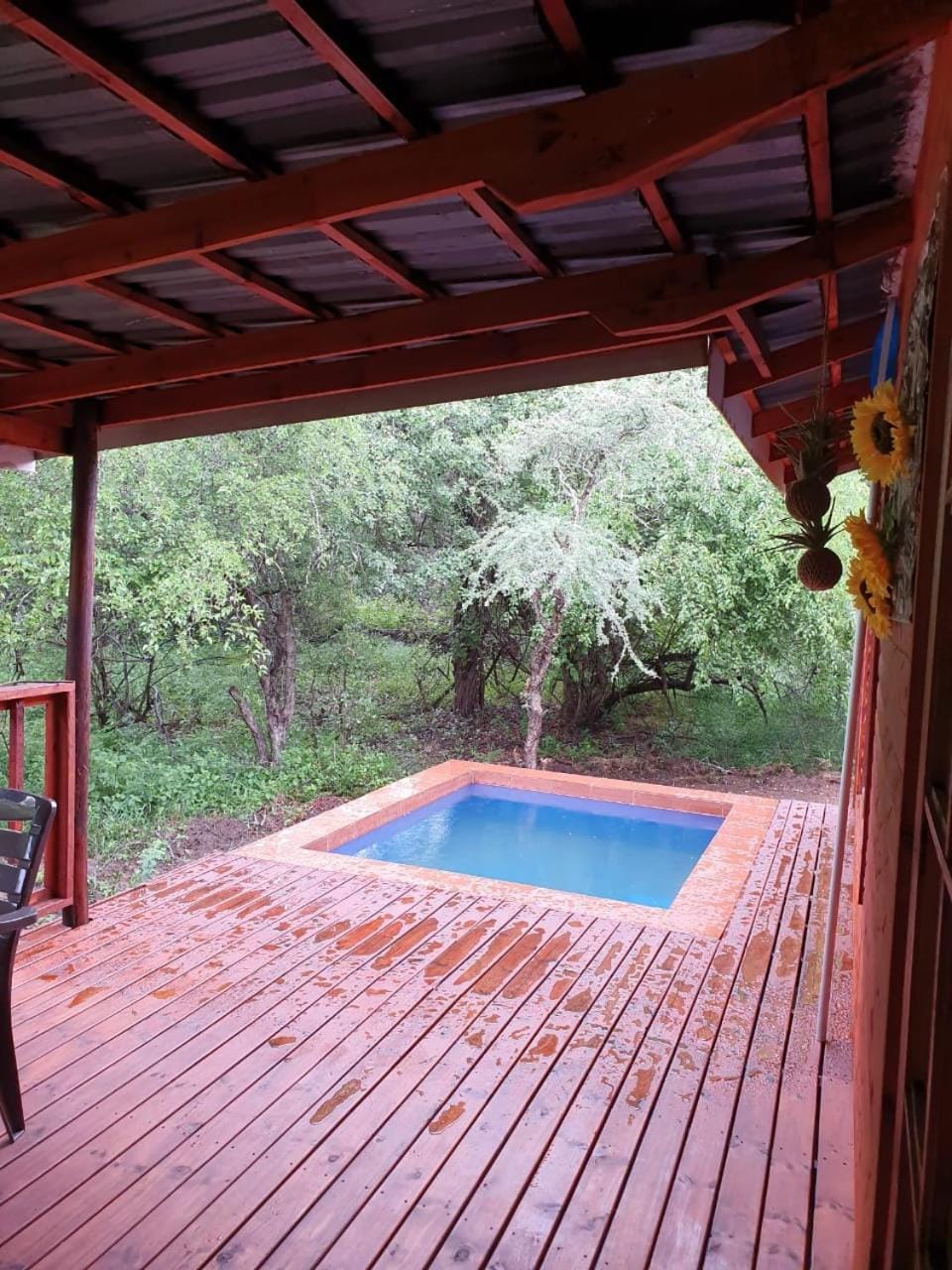 Pool view