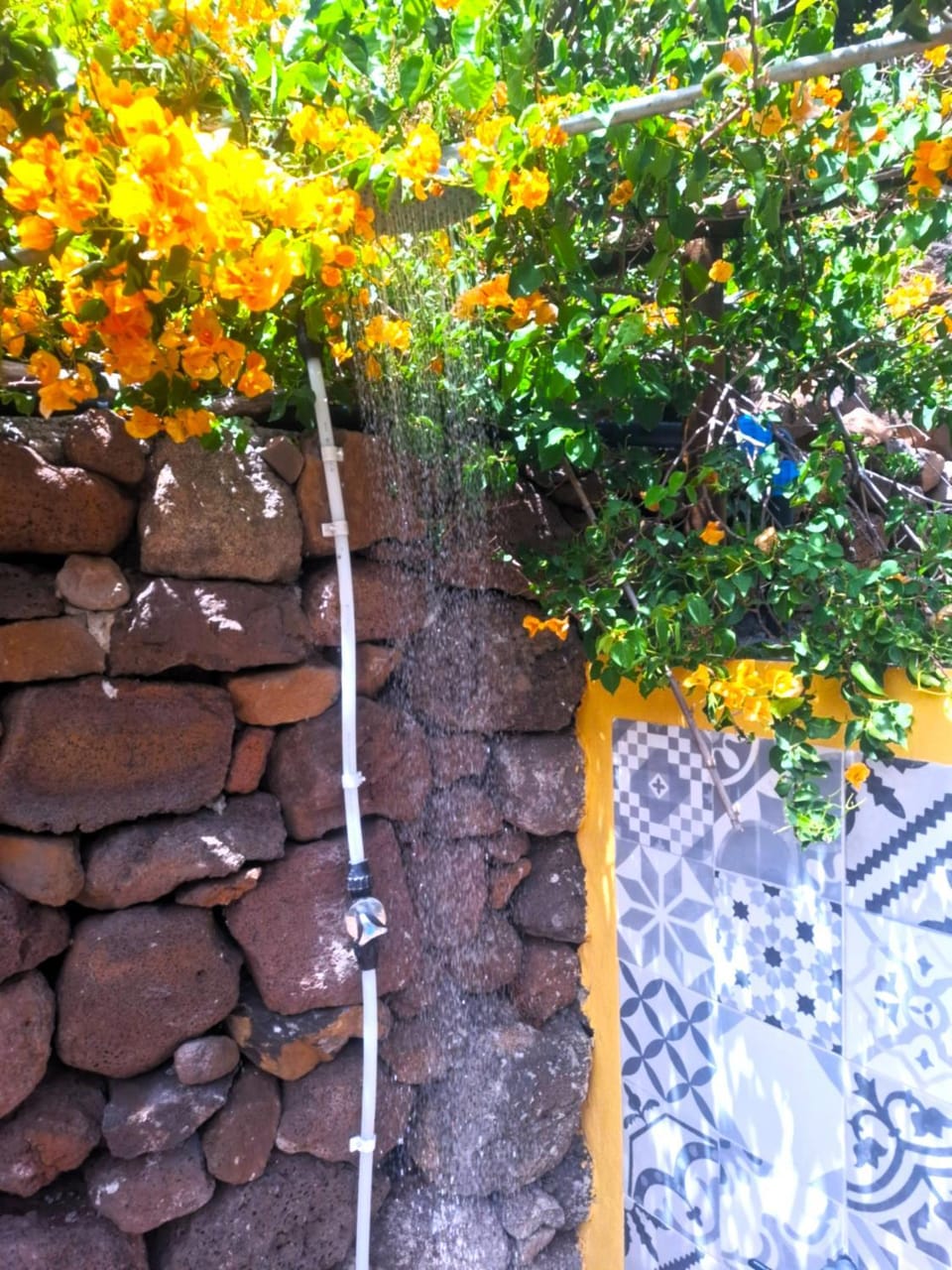 Shower, Garden