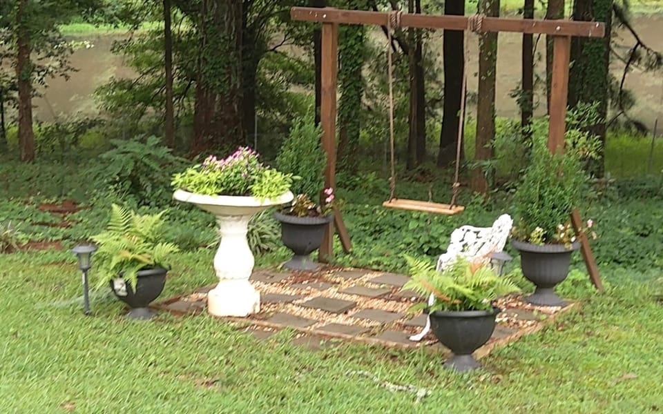 Garden view