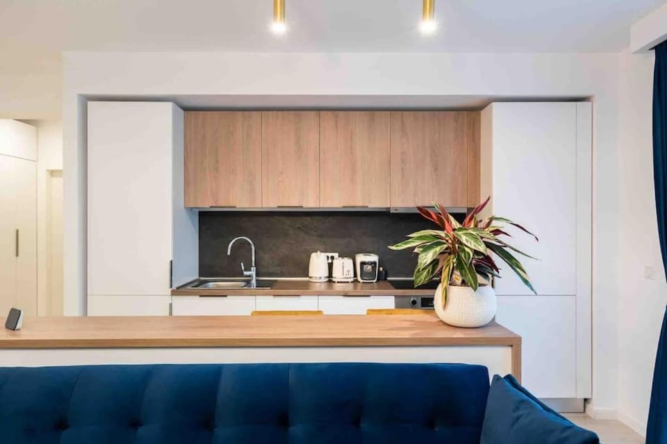 Blue Velvet Apartment in Bucharest