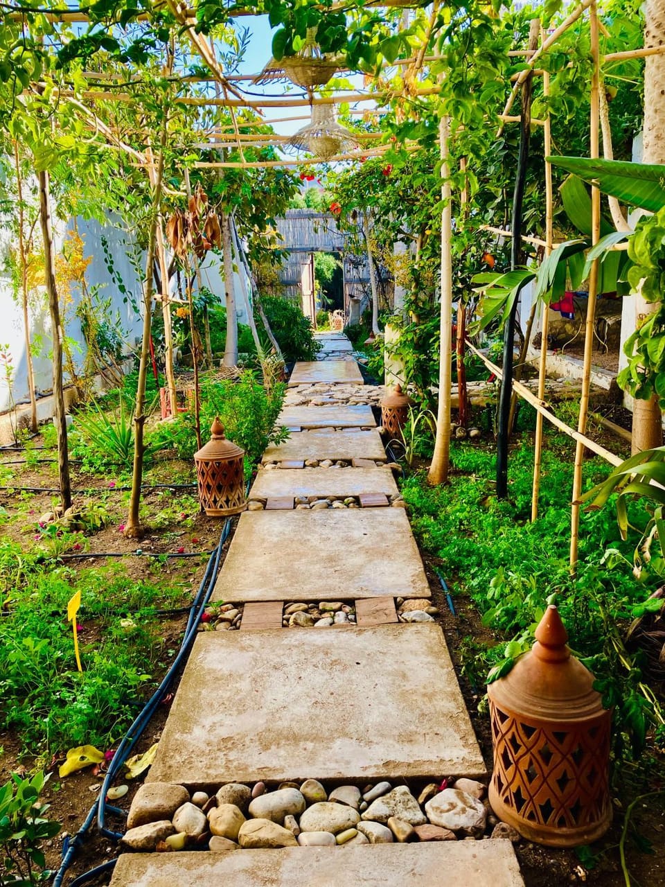 Day, Garden, Garden view