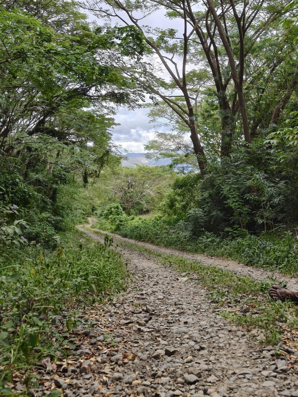 Outback Retreat/Hotel, Ba Fiji Nature lodge in Western Division, Fiji