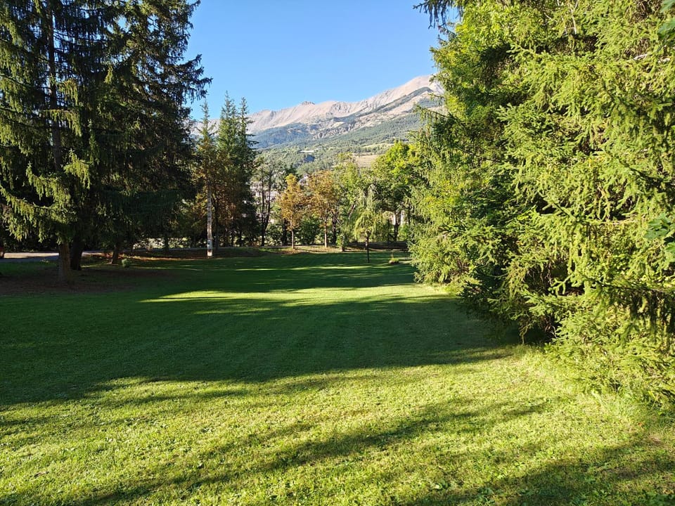 Natural landscape, Garden, Garden view