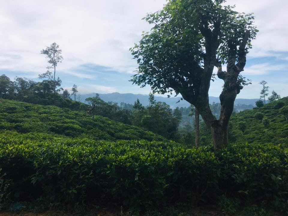 Day, Natural landscape