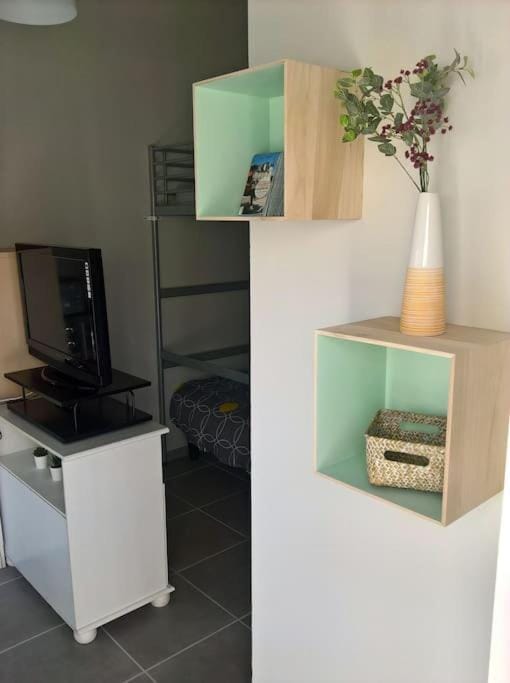 TV and multimedia