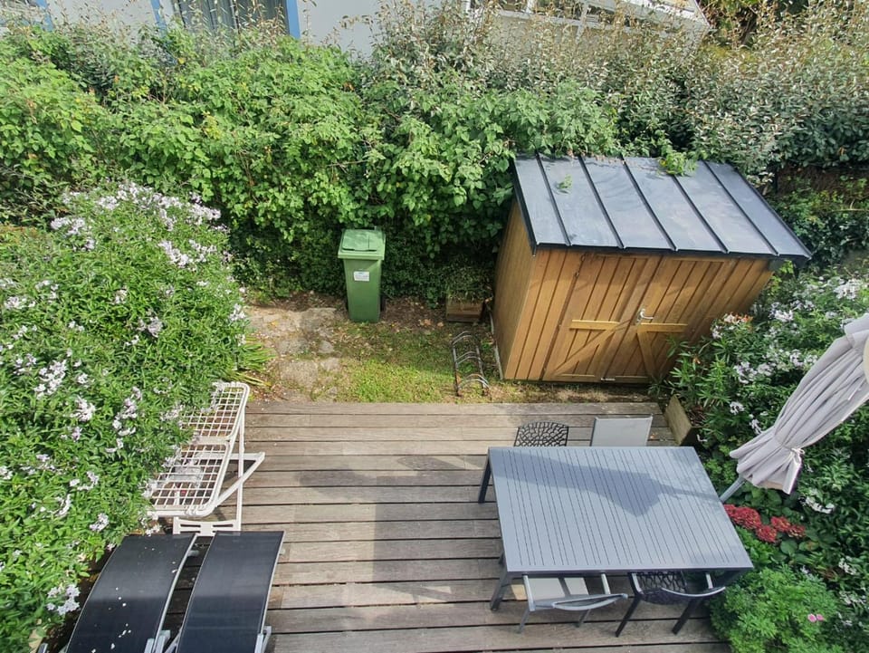 Patio, Garden view