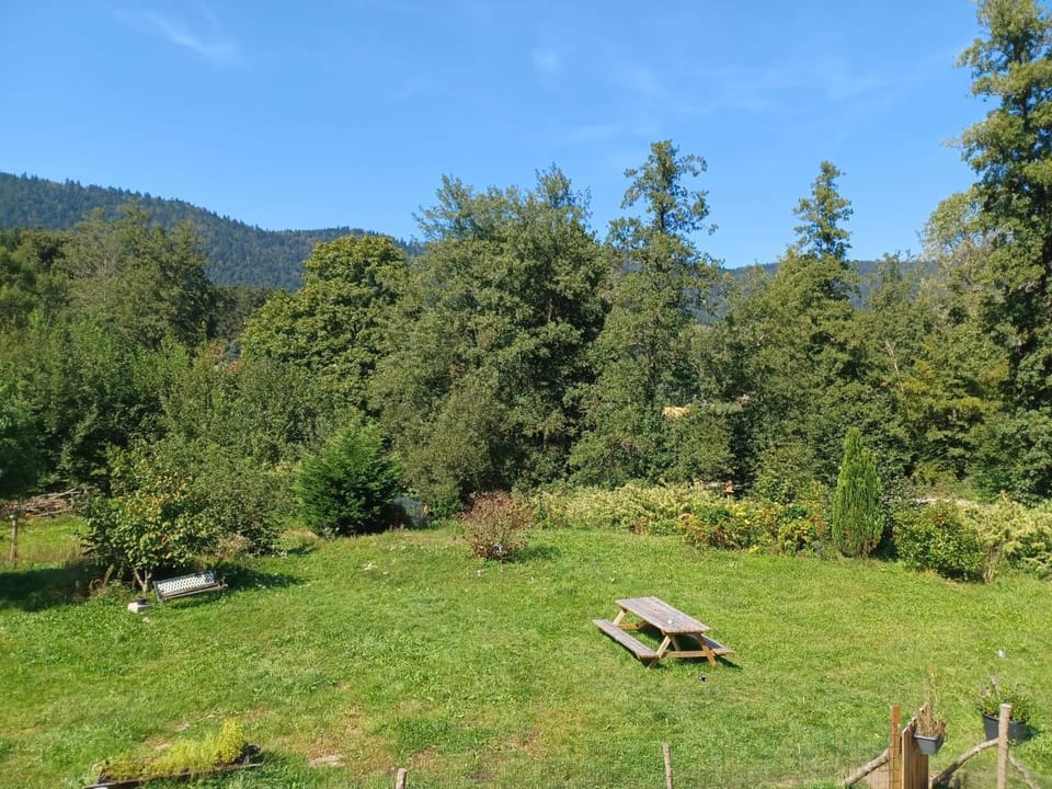 Spring, Natural landscape, Garden, Garden view, Mountain view