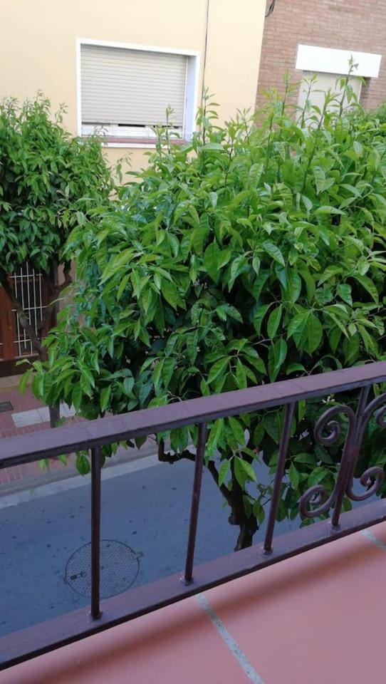 Street view, Quiet street view