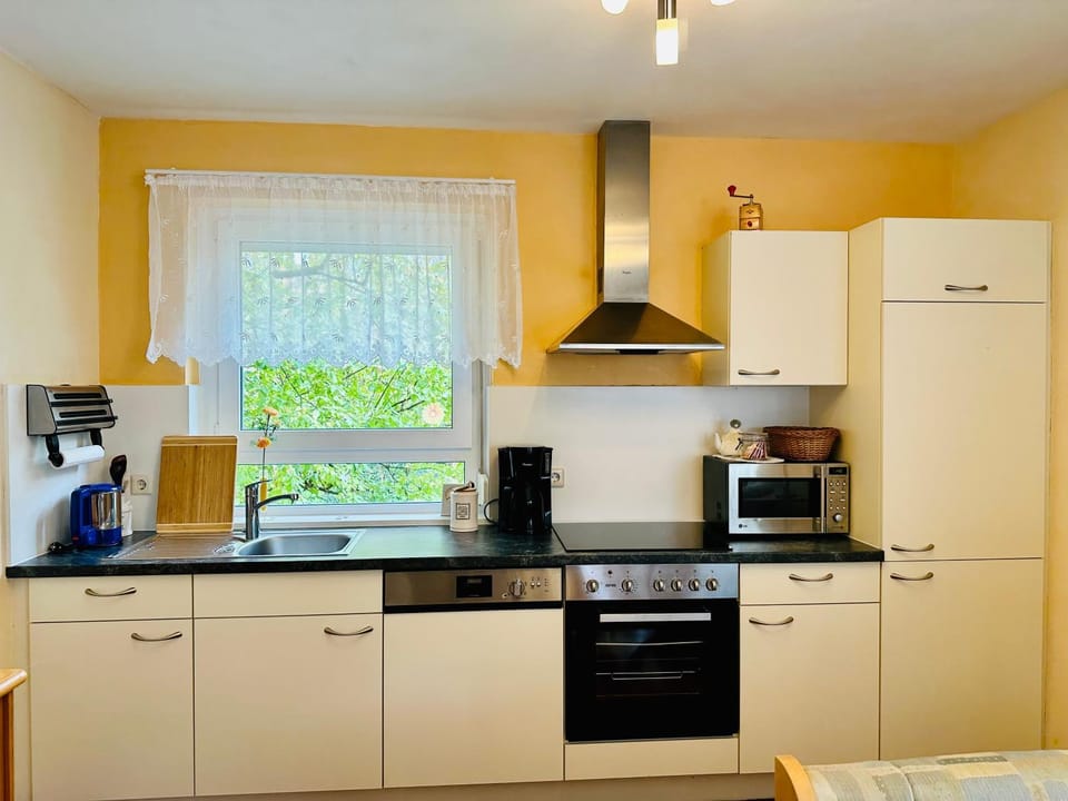 Coffee/tea facilities, Kitchen or kitchenette, dishwasher, minibar, pet friendly, stove