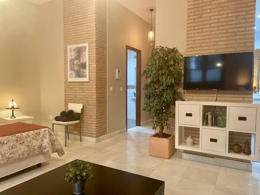 Bed, TV and multimedia, Living room, Photo of the whole room, Seating area, Bedroom