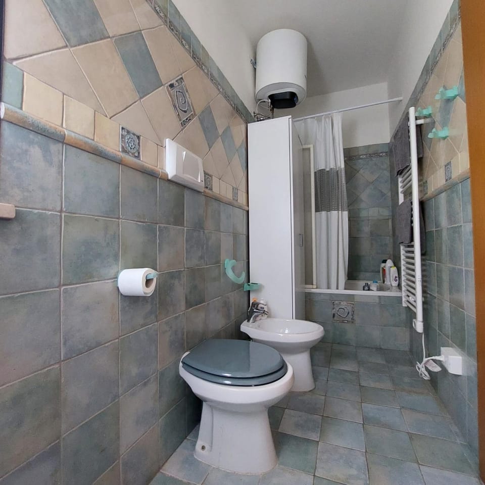 Shower, Toilet, Bathroom, bidet