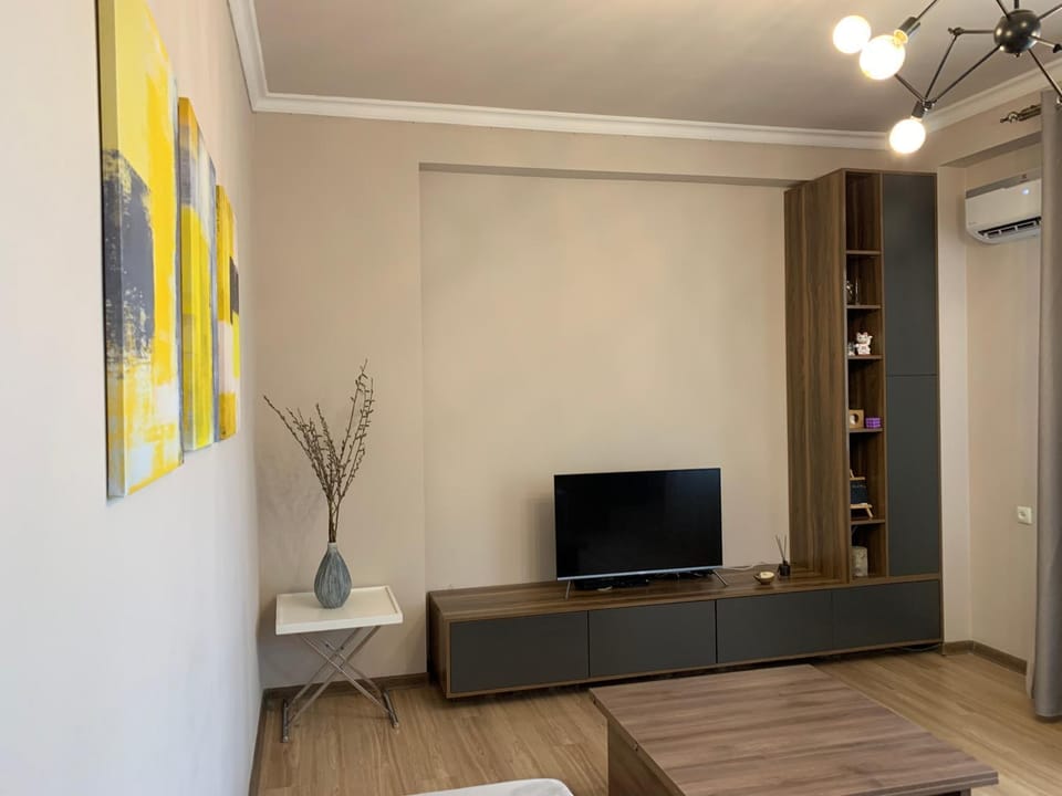TV and multimedia, air conditioner