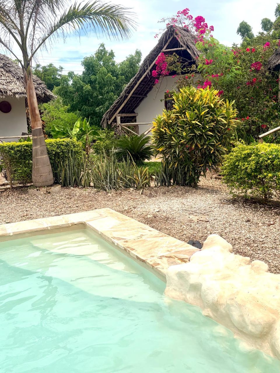 Garden, Garden view, Pool view, Swimming pool