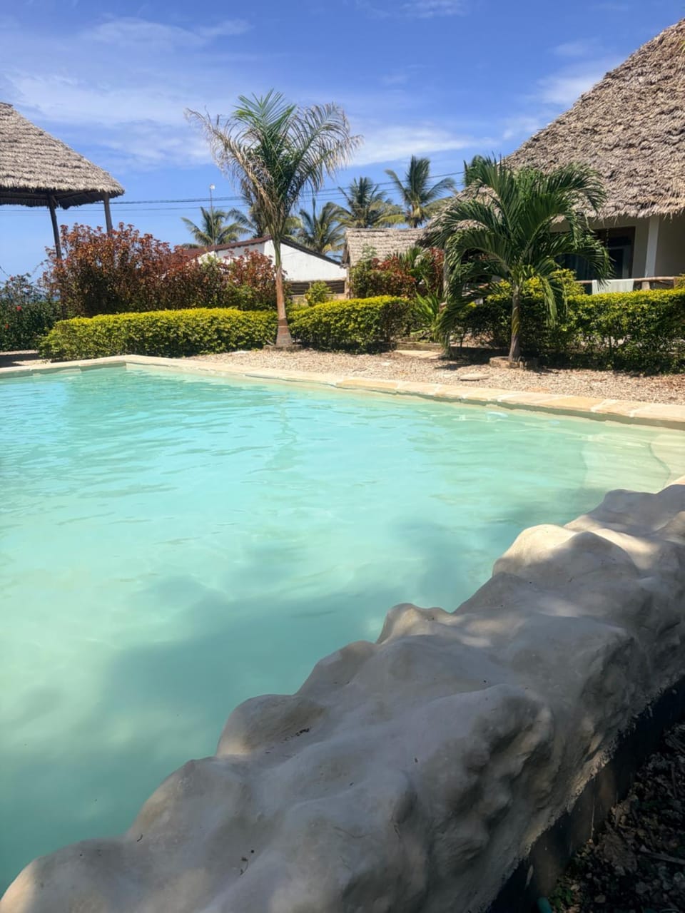 Garden, Garden view, Pool view, Swimming pool