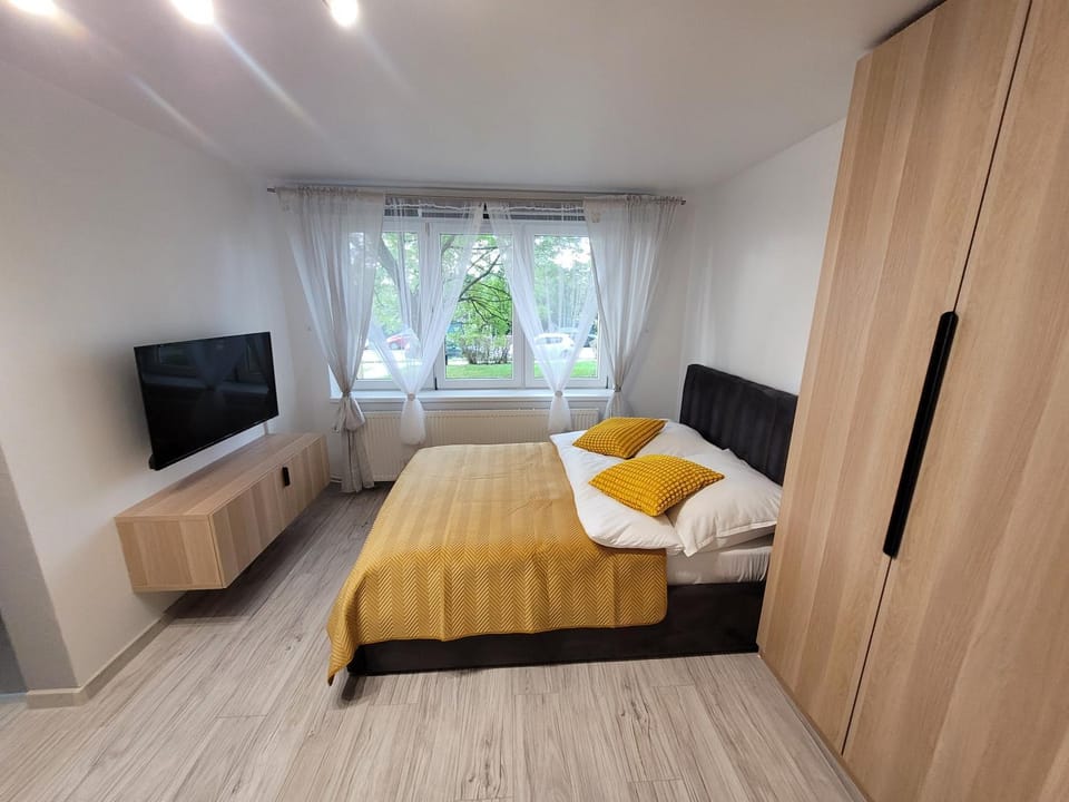 Bed, TV and multimedia, Living room, Photo of the whole room, Evening entertainment, Bedroom, wardrobe