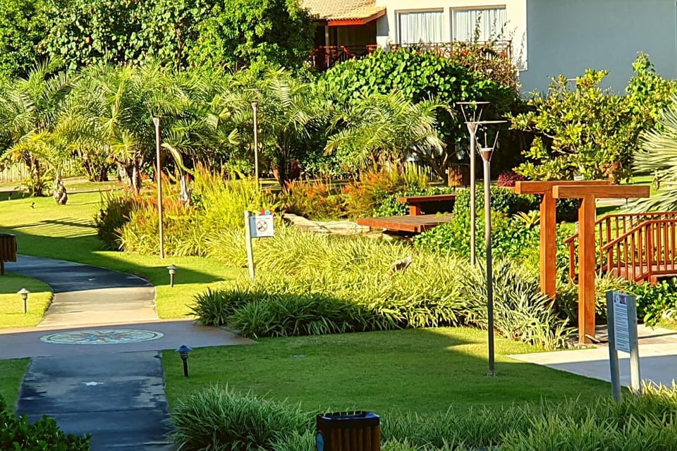 Property building, Garden, Garden view