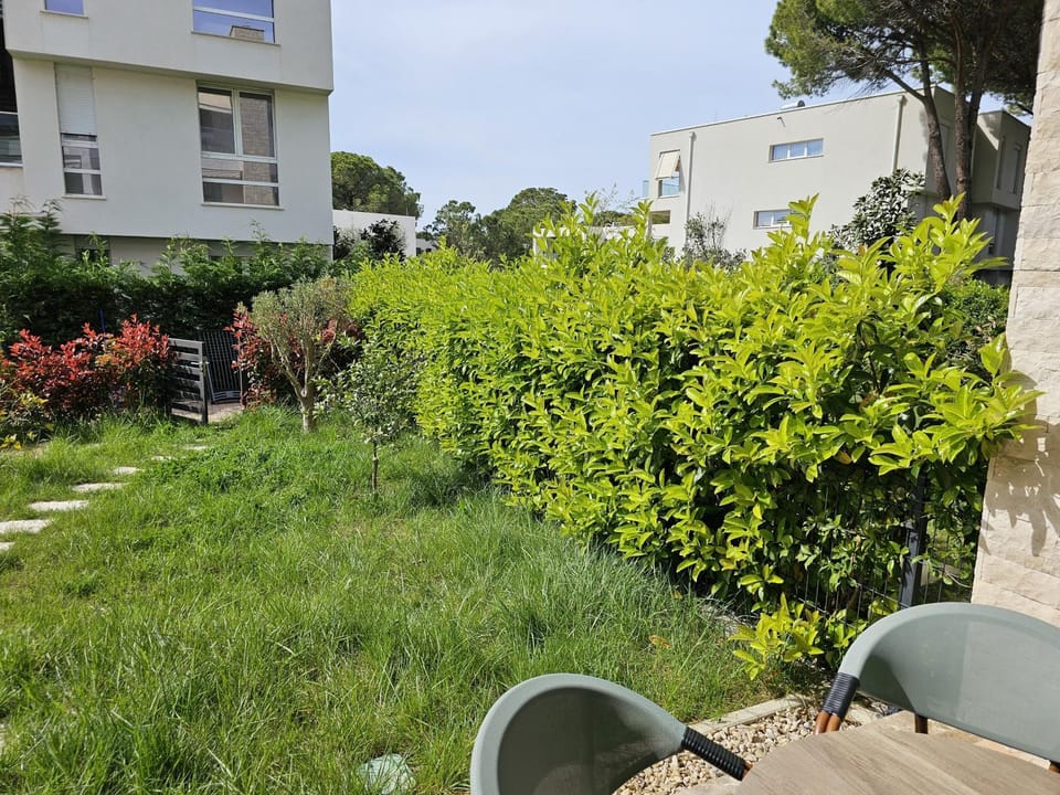 Garden view