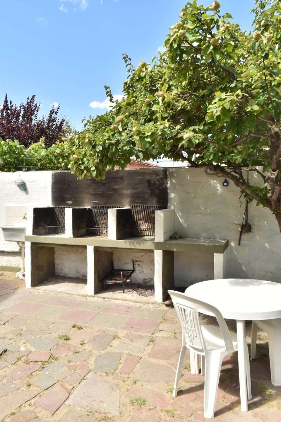 Patio, Garden