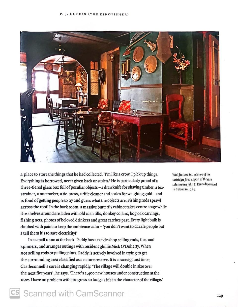 Kingfisher Lodge & Pub Vacation rental in County Limerick