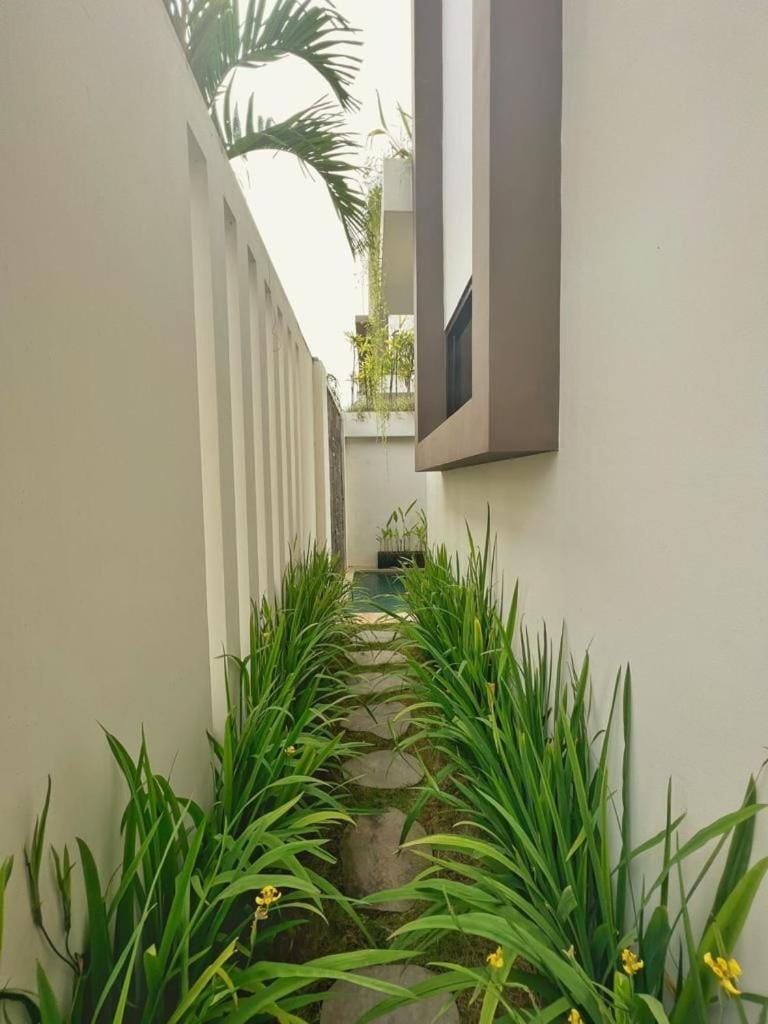 Spring, Day, Garden, Garden view