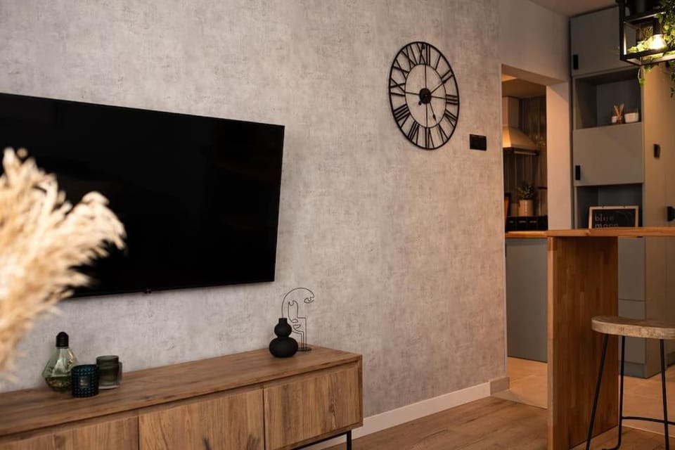 blue moon. cozy apartment near Iulius Mall Apartment in Cluj-Napoca