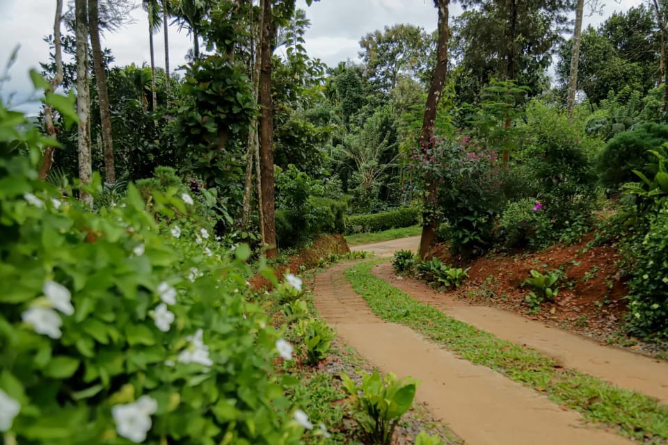 Mahika Heritage Villa Villa in Kerala