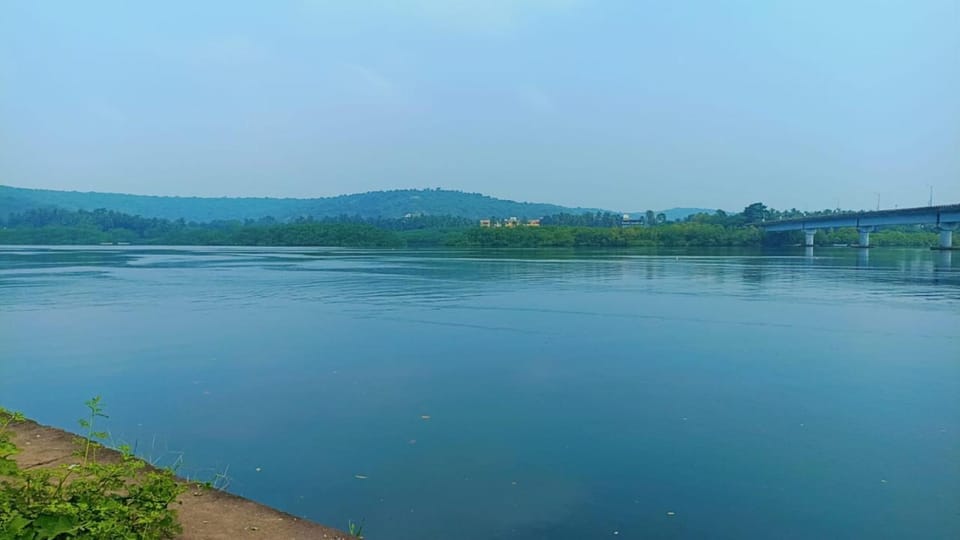 Natural landscape, River view