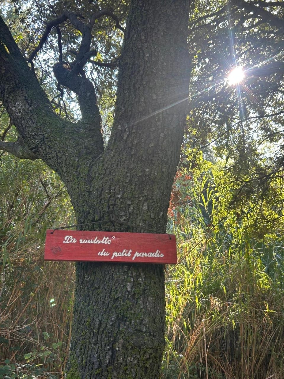 La roulotte du petit paradis Luxury tent in Saint-Remy-de-Provence